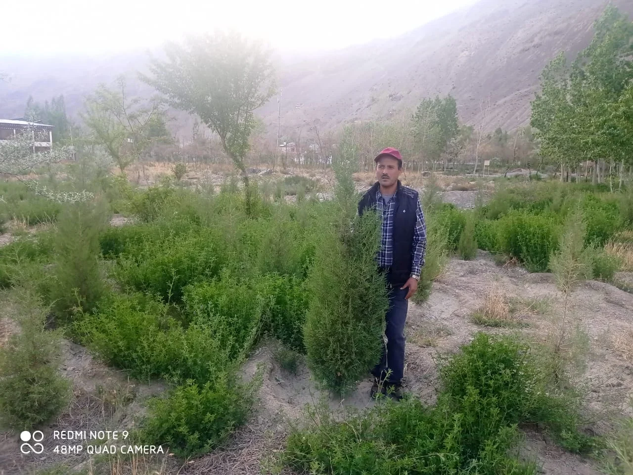 IMG-20220722-WA0024