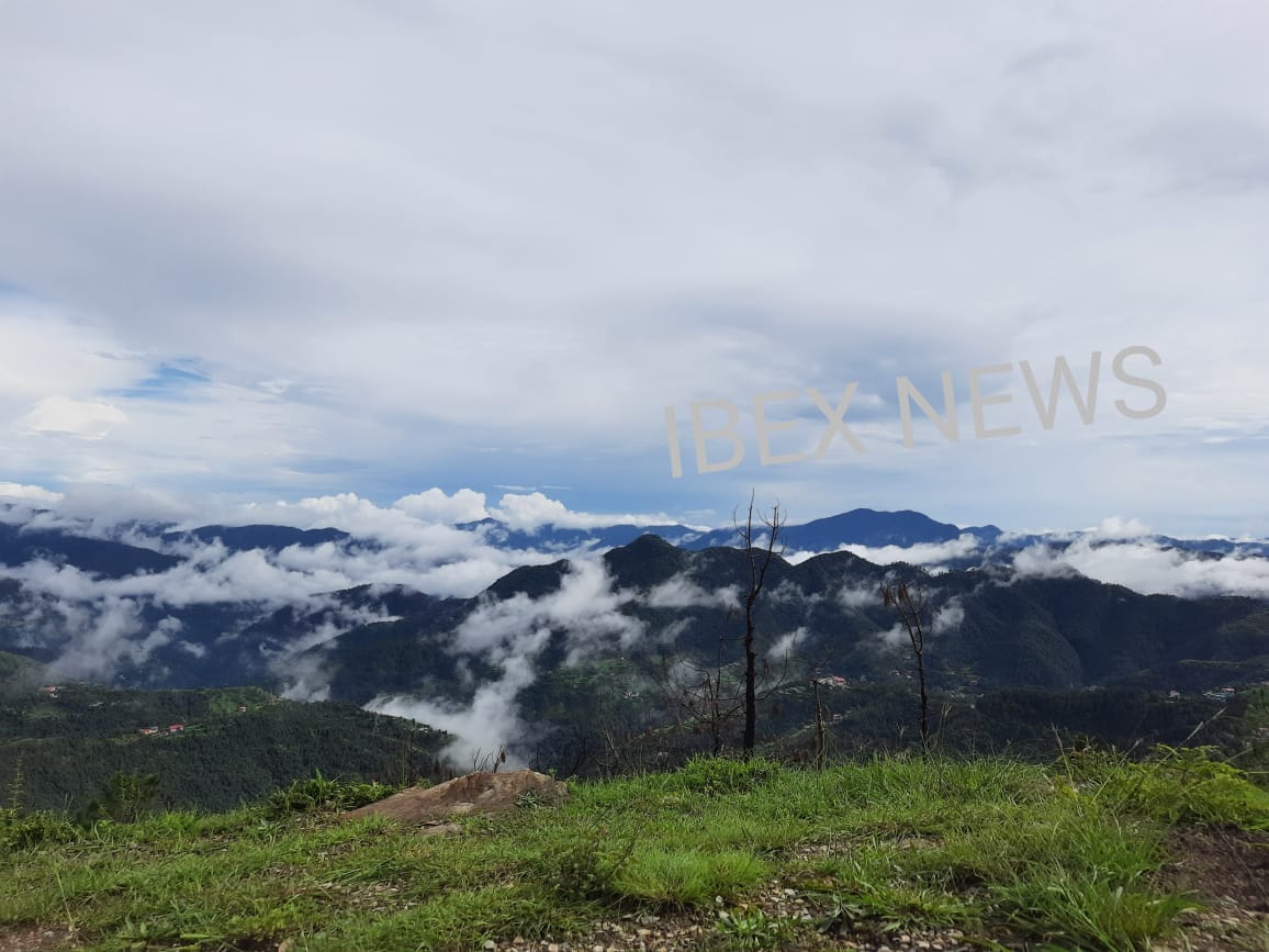 IMG-20220804-WA0015-1