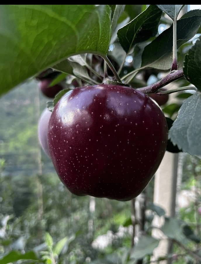 Screenshot_20220731-215734