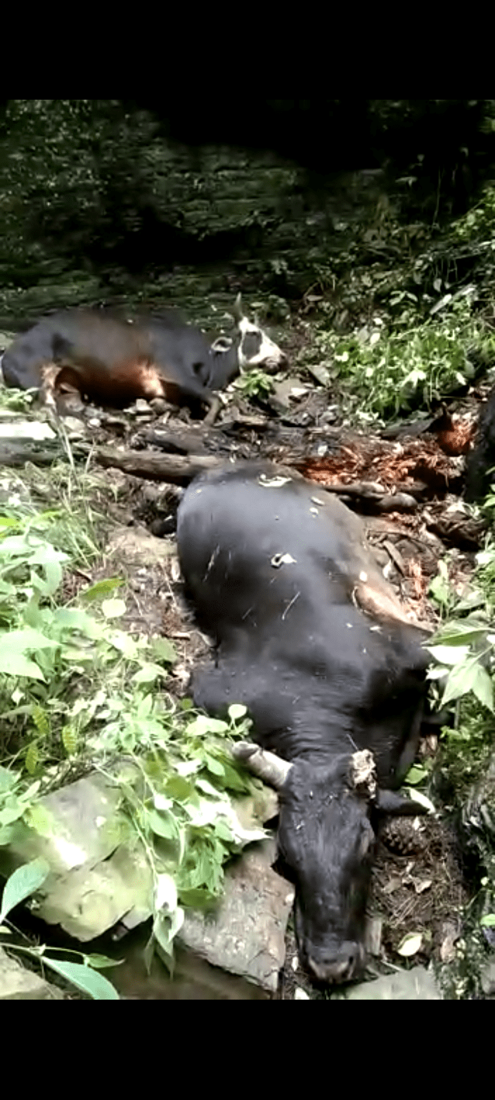 Screenshot_20220920-180820