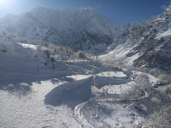 FB_IMG_1668517172139