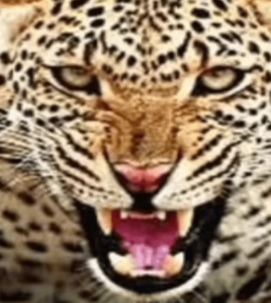 Screenshot_20221124-182623