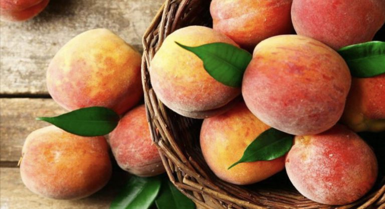 FEB69D99-DC63-42B6-8B7A-E8824DCA457A