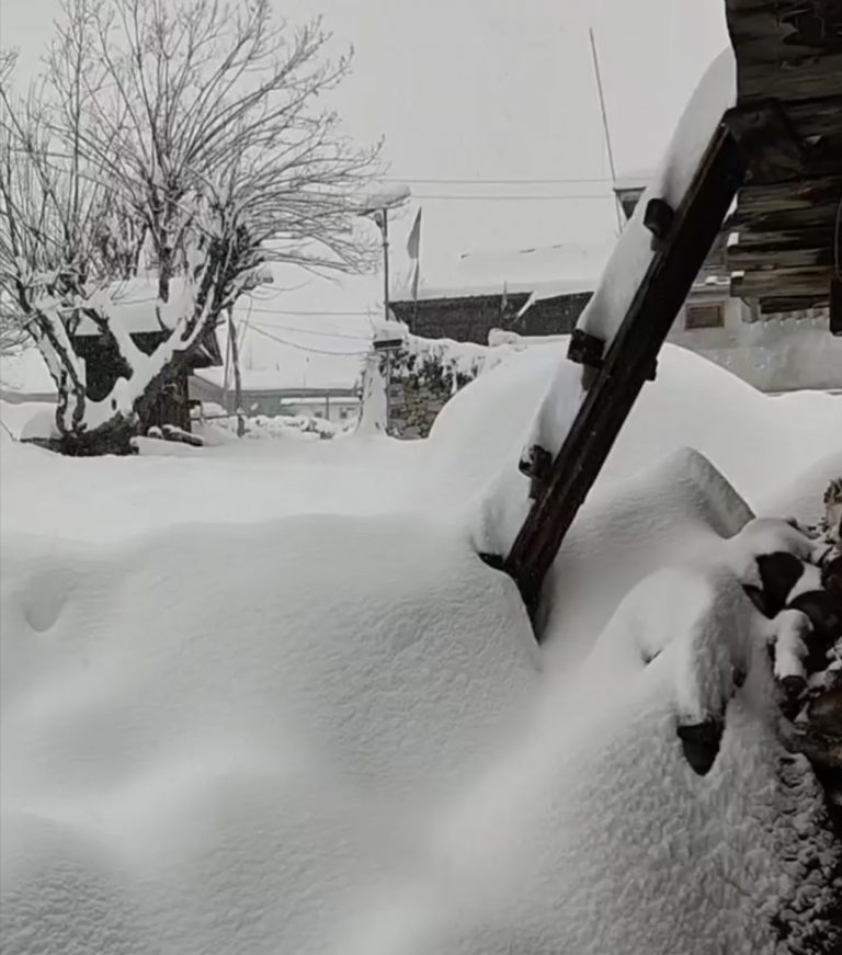 244EC977-1C8F-48DF-ACAF-7325686A9FB3