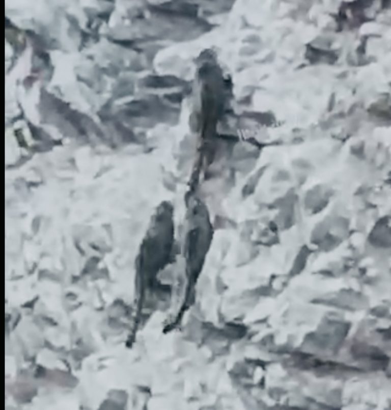 25957C1C-DCB6-428F-8D35-12566B804EB6