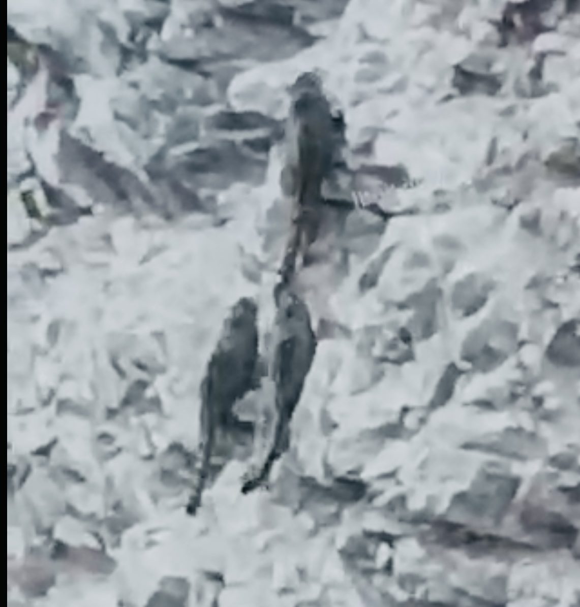 25957C1C-DCB6-428F-8D35-12566B804EB6