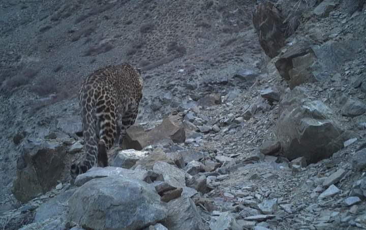 5428AEE4-893E-4258-8A89-21C5BBADA968