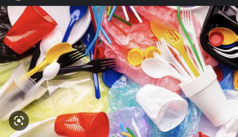 593AD316-F37D-4497-BA38-40AAD77A3A33