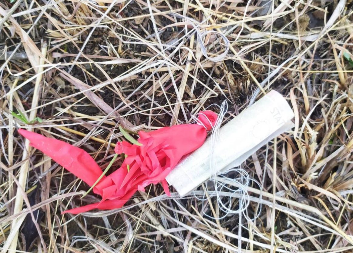 88D3CA76-2E9E-49D8-8AEC-90AC9BA0431B