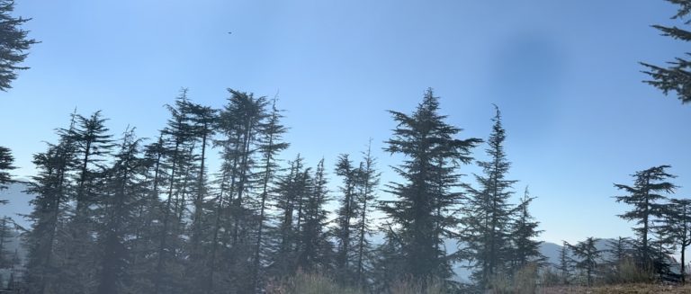 8AA26DFF-1D96-42DE-B50E-81FE2D497CEE