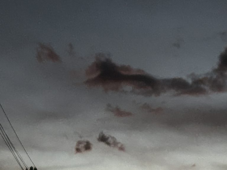 A6F1B29D-CEE1-491D-A68B-7E9B1BAB2C14