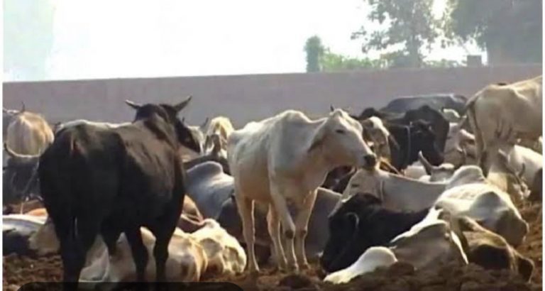 CB0A8385-5BE7-442D-A369-D25CC12E2942