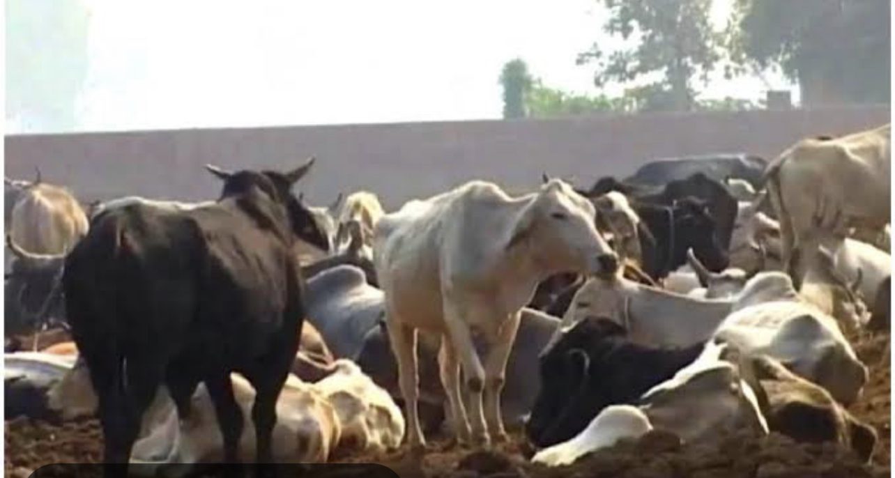 CB0A8385-5BE7-442D-A369-D25CC12E2942