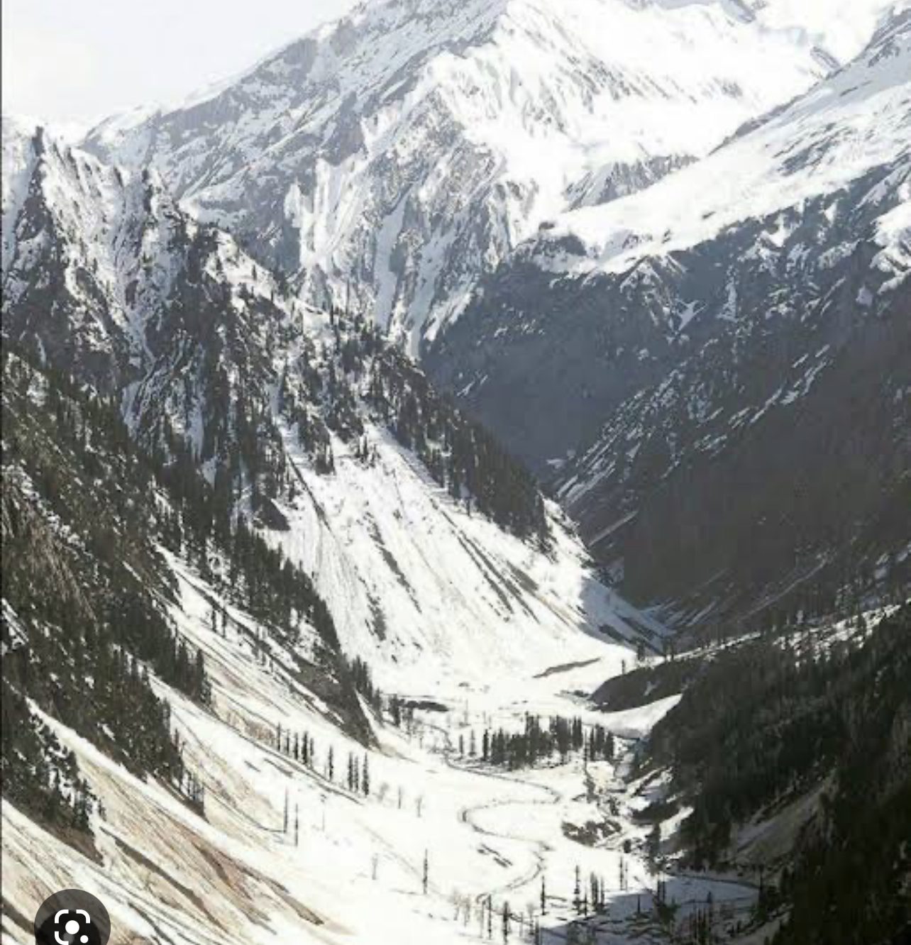 D4CDA465-1098-454E-B37C-0F523149DE44