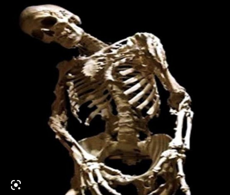 1F03BB3F-BC03-41EB-AB07-3BECBE7E529C