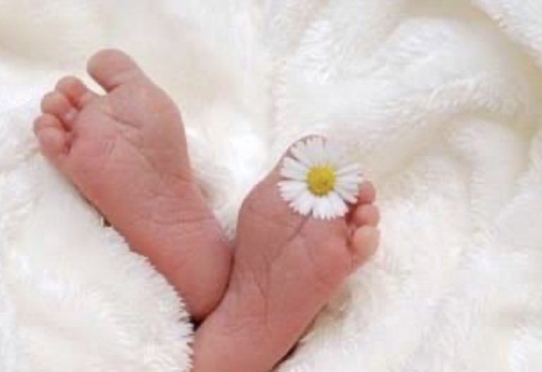 347916F2-5FEF-4AFB-A813-5FFB504ECBFB