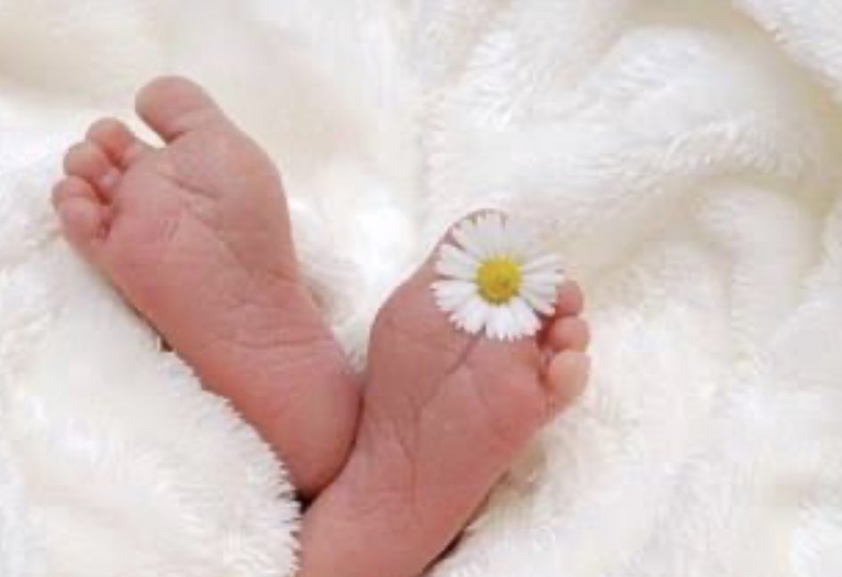 347916F2-5FEF-4AFB-A813-5FFB504ECBFB