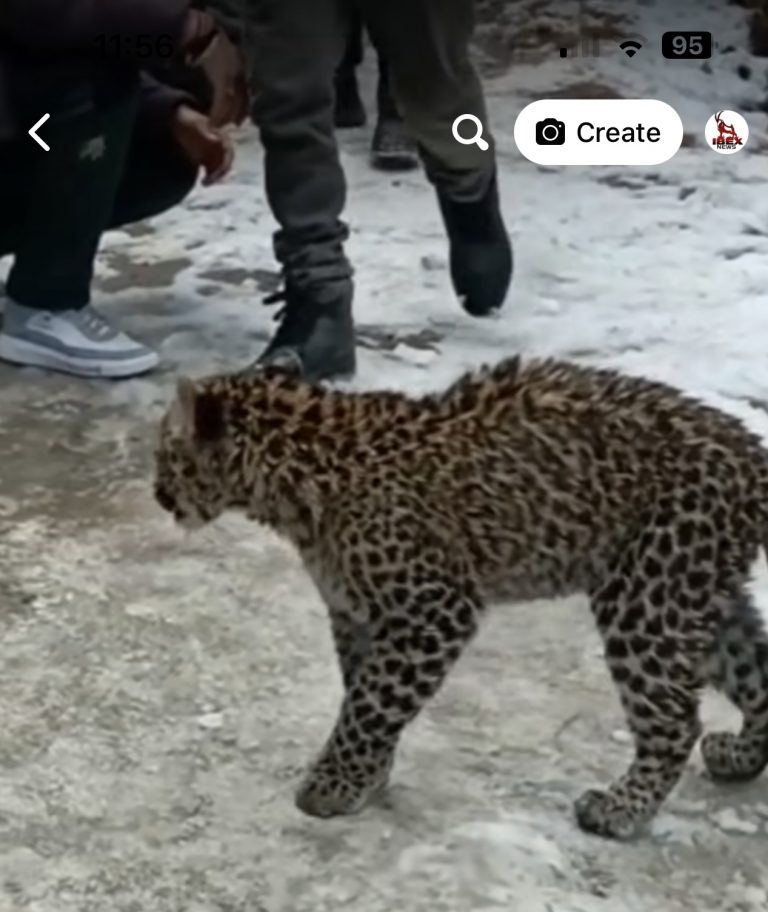 374D9456-A6DA-47C8-A831-64333E141EB1