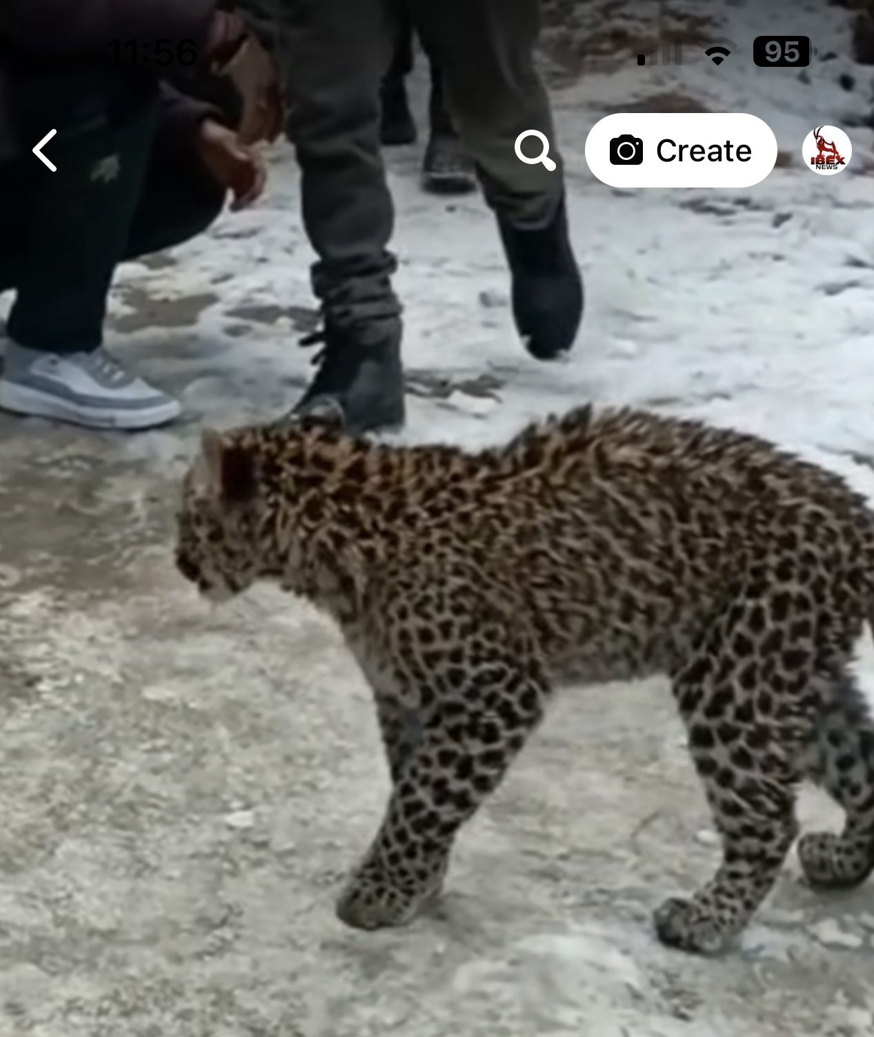 374D9456-A6DA-47C8-A831-64333E141EB1