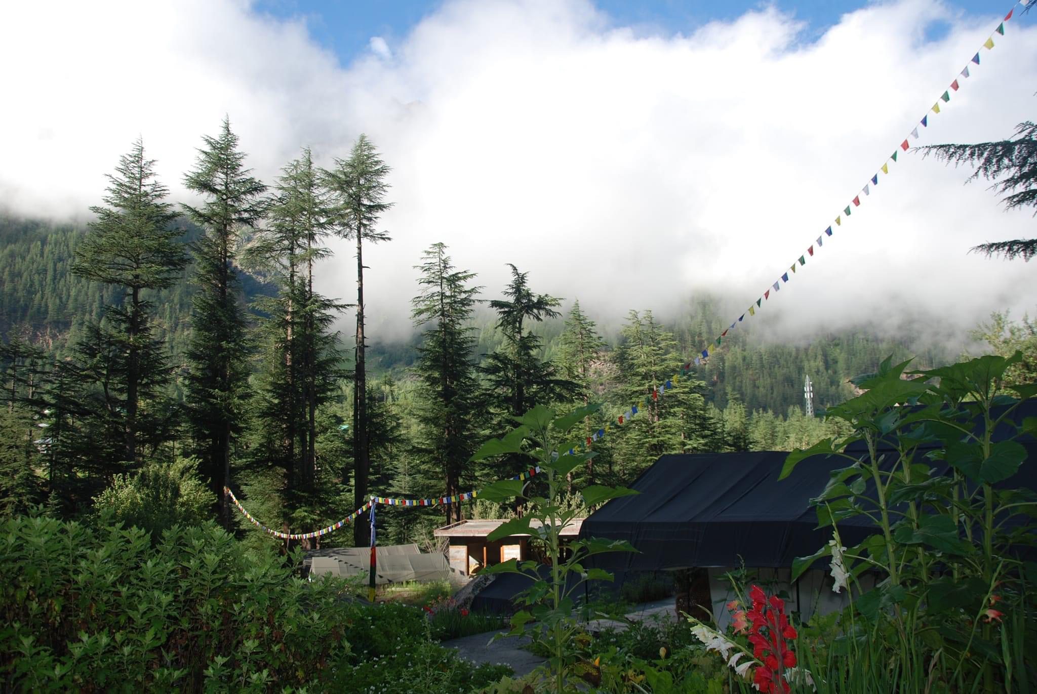 4BD04FC7-1A97-452F-8CD5-23DF9970DF73