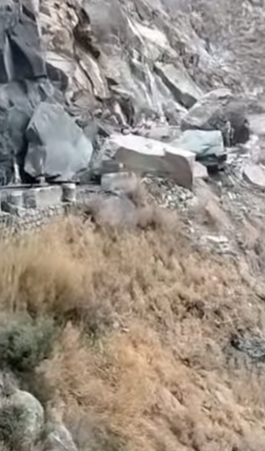 4C6294F2-CC19-4622-97A6-3253ACDCF719