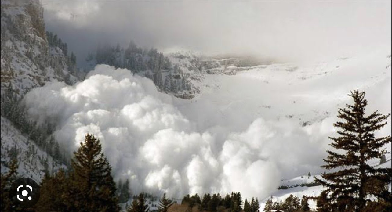 53DBDB8C-C57C-479E-AE42-E49099A8EEC7