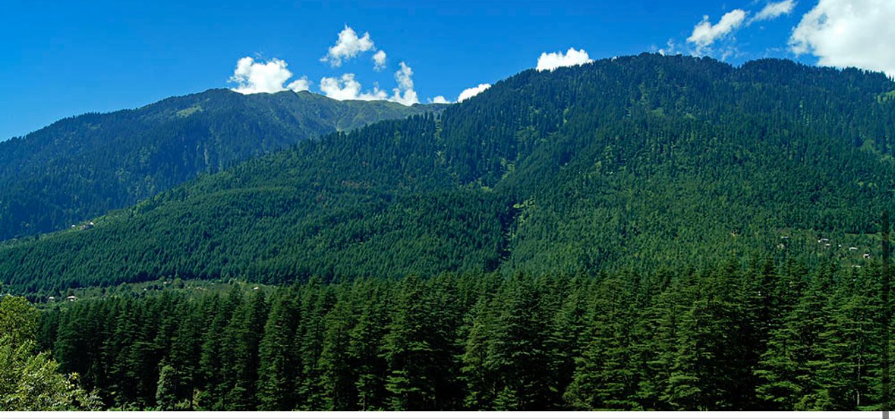 C6970969-8923-4557-8B94-B51E5E69565A