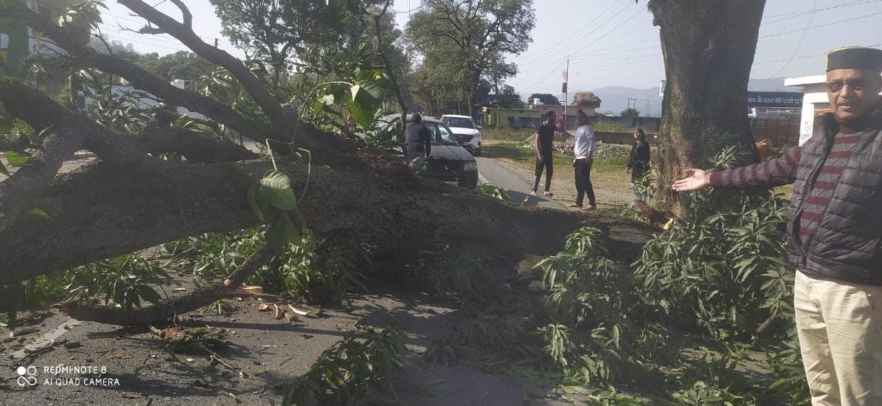 DC66F48B-5460-4EAF-8B9B-4A56FFBDBF21