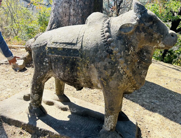 F2F02D83-4F41-4AFB-BF82-BF789C364A08