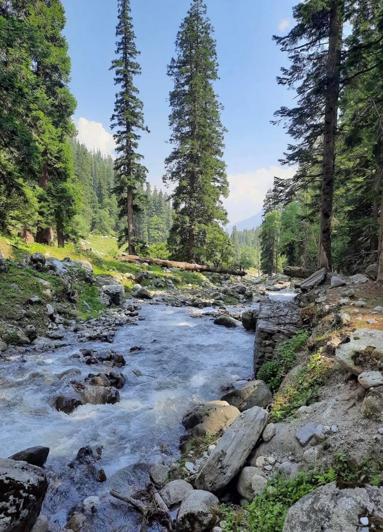 2FB88959-16A3-435E-9855-CA79BC717502