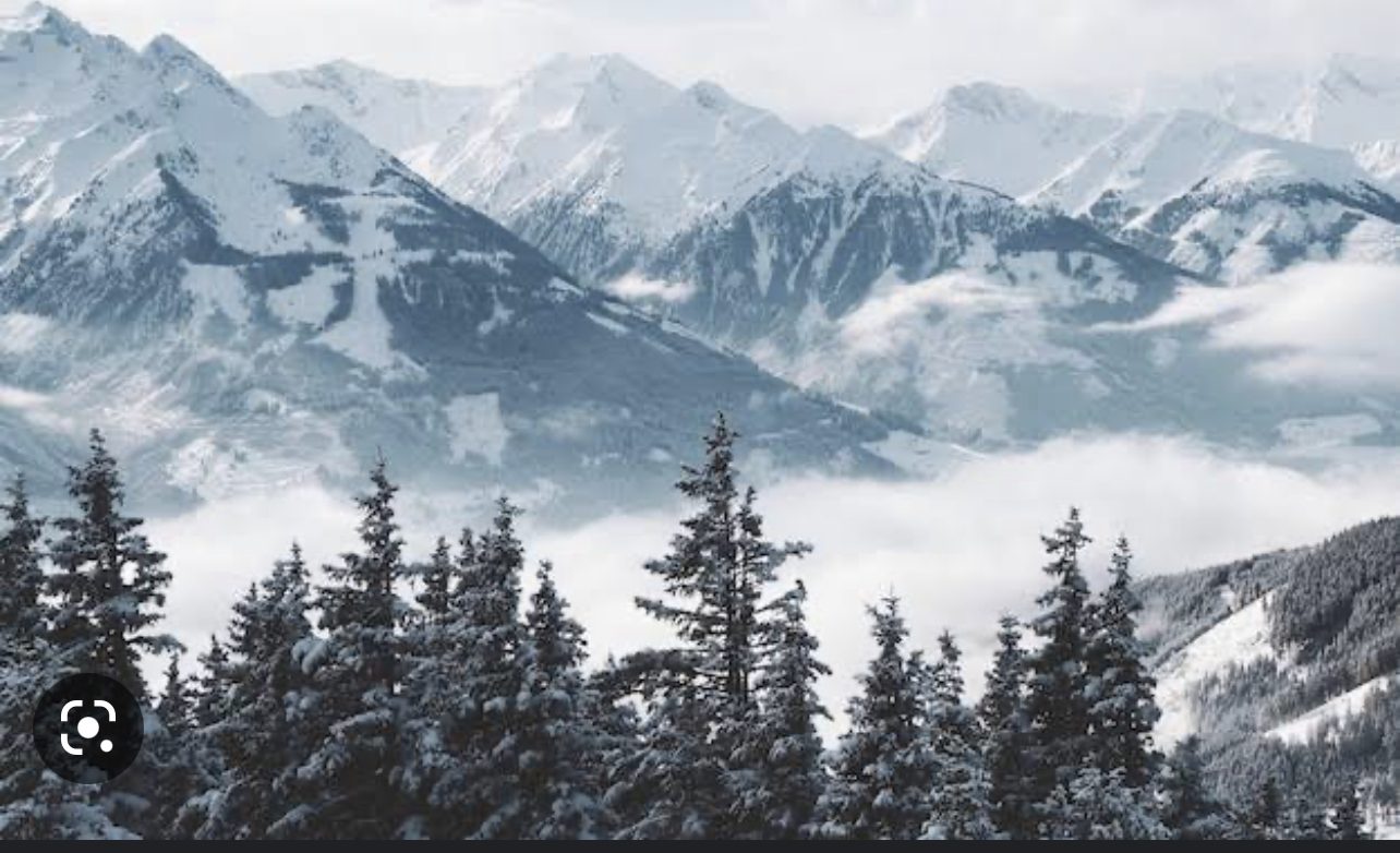 3F39A8C1-7AA3-4AEC-B3F7-ABC5490F36CD