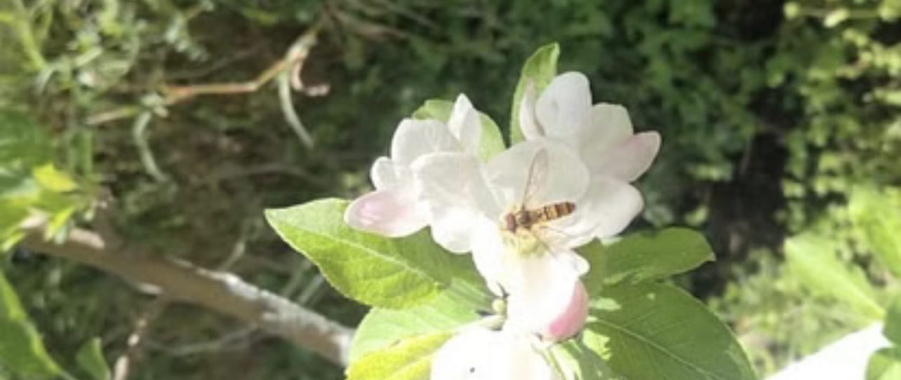 B0C5A675-8F4A-455E-B636-2FC82FF73D1E