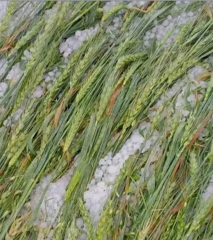 DEA0D435-F02B-4E34-A1AC-FED9EC8A8BE9