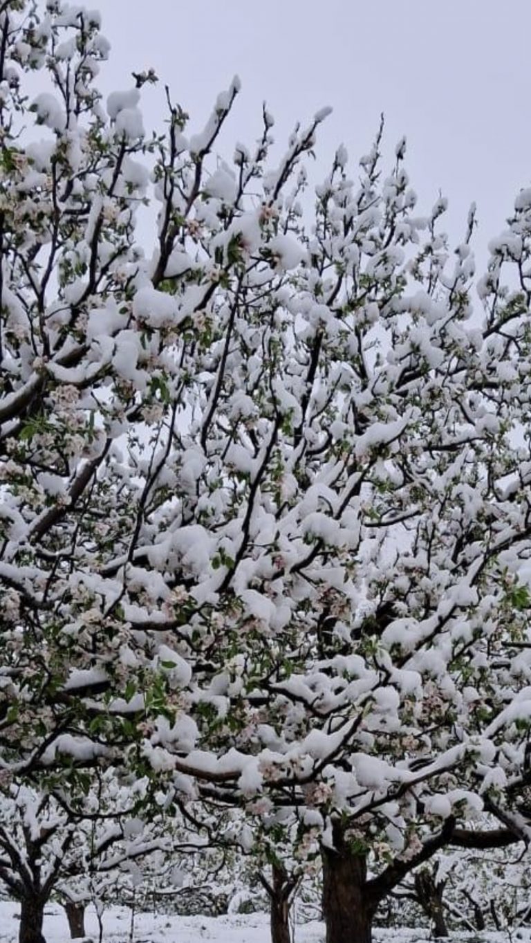 02BD42AC-7AED-4D89-8CF9-85F08116442B