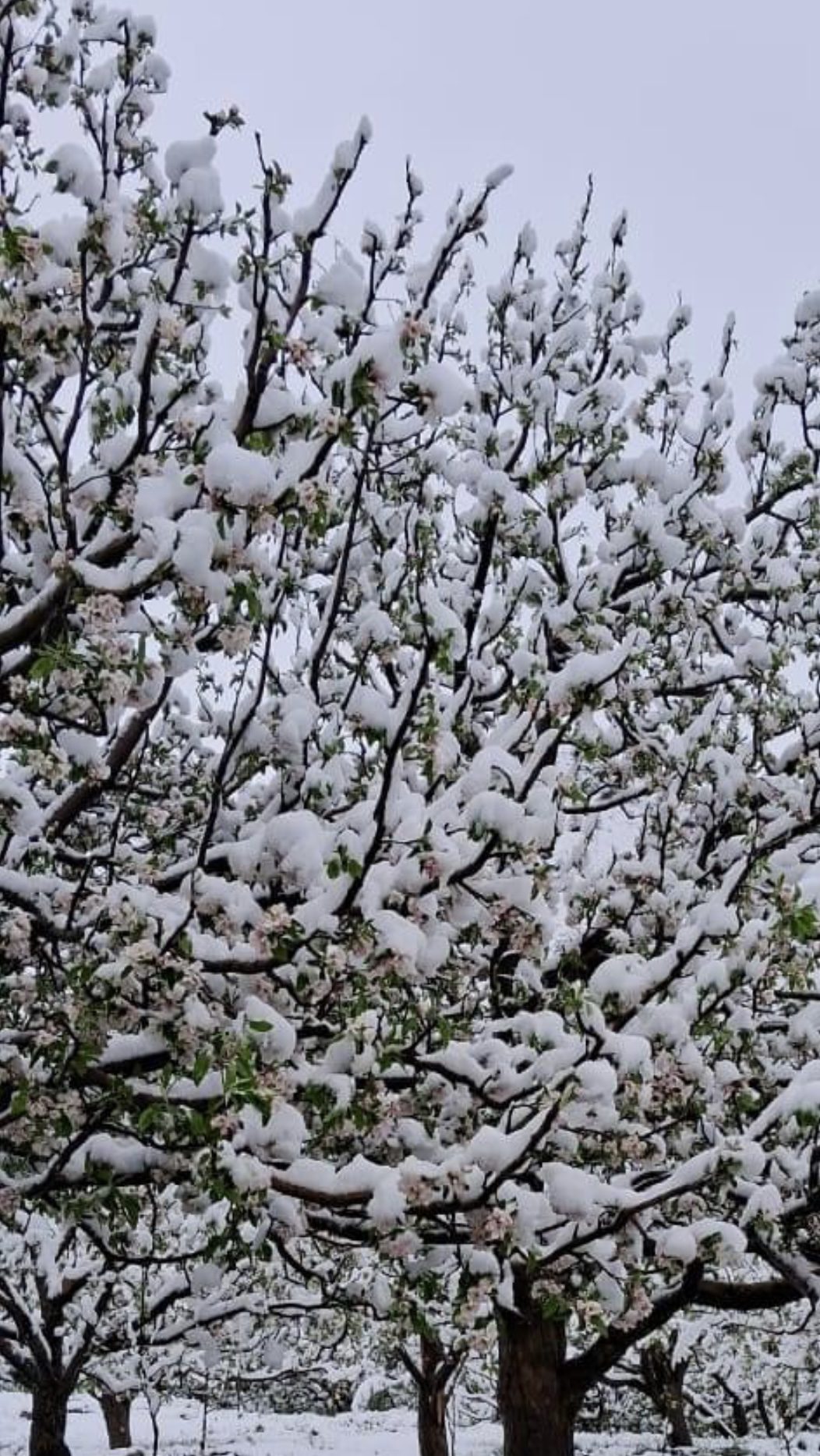 02BD42AC-7AED-4D89-8CF9-85F08116442B