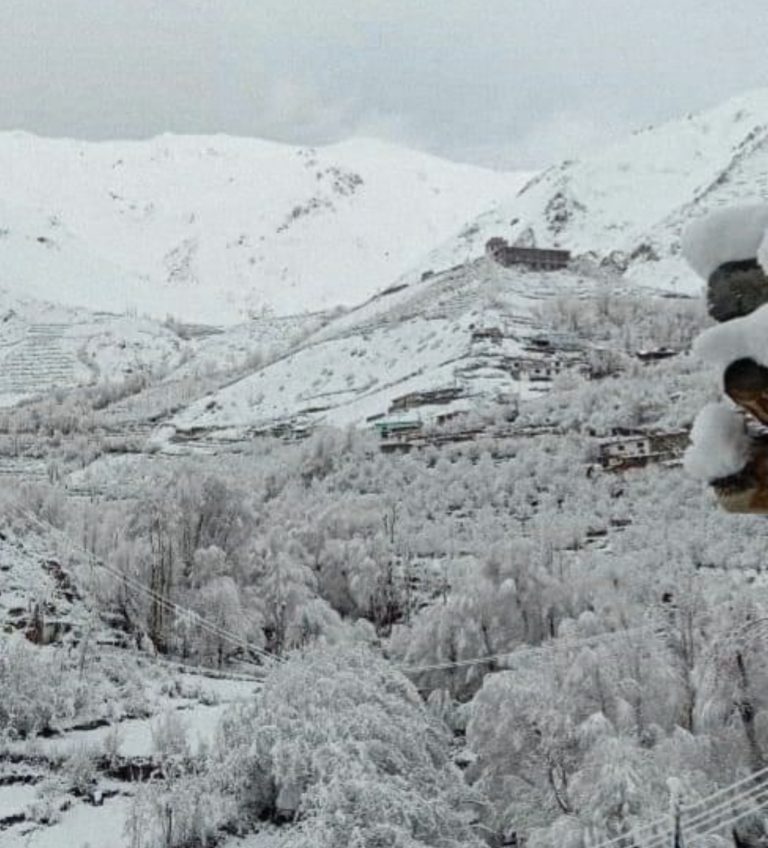 1ADD2FA6-CA89-41BC-BEB0-AC0FCA5B02EE