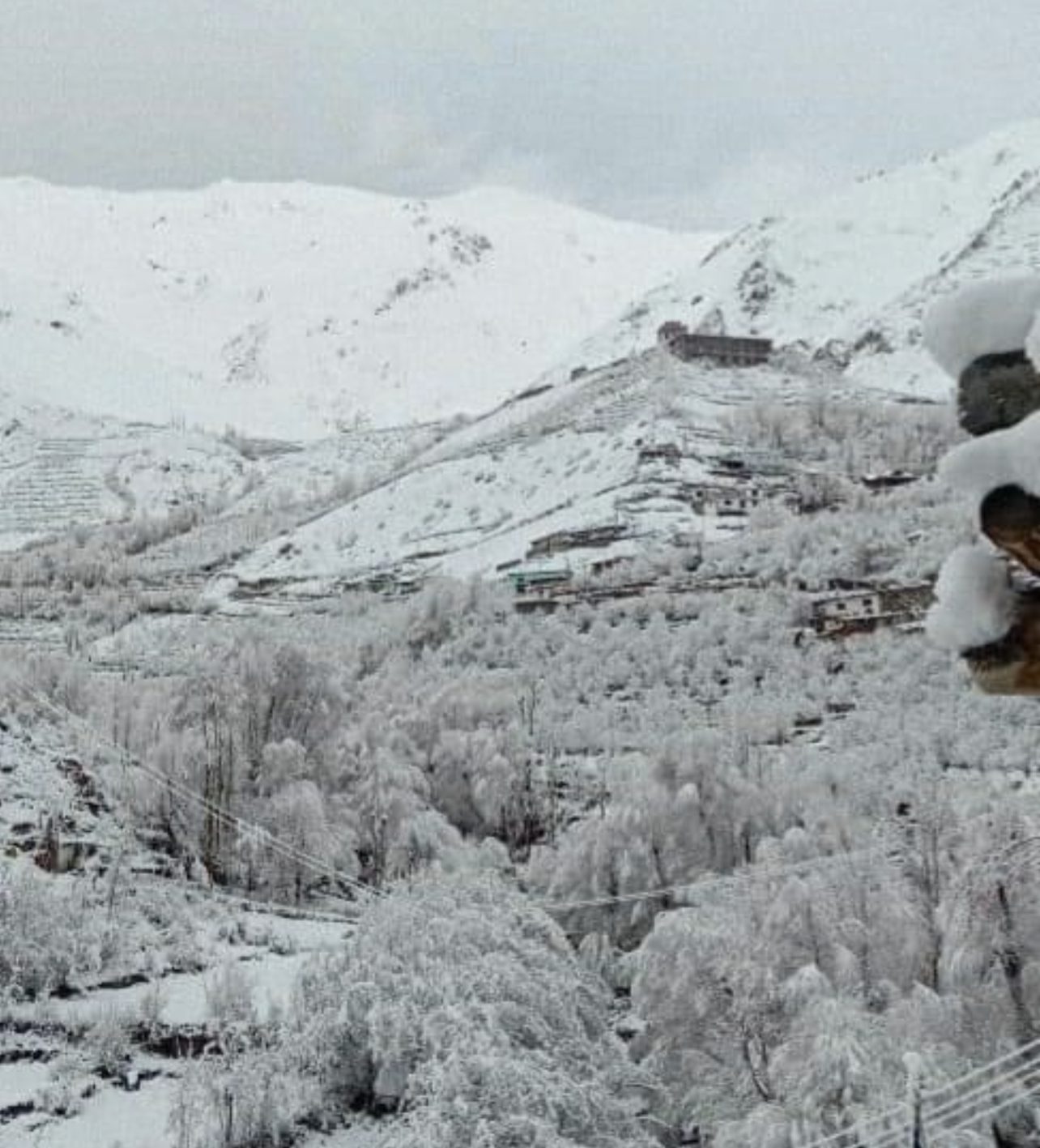 1ADD2FA6-CA89-41BC-BEB0-AC0FCA5B02EE