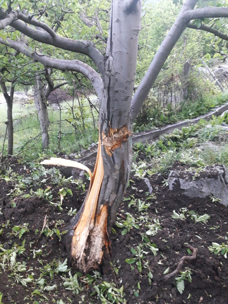 373B4245-95CA-491A-AE7A-FCD4EEF03FAA