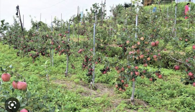 4CADBC35-0716-4F4C-8D98-9A79D843E4BF