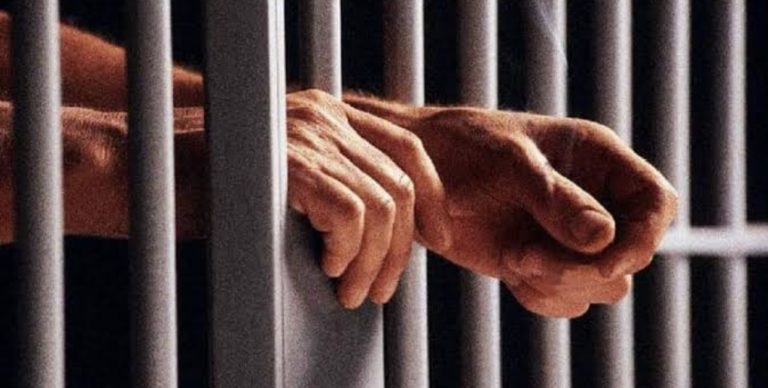 66AC16F1-6528-41A0-B546-FAFE1D45A594