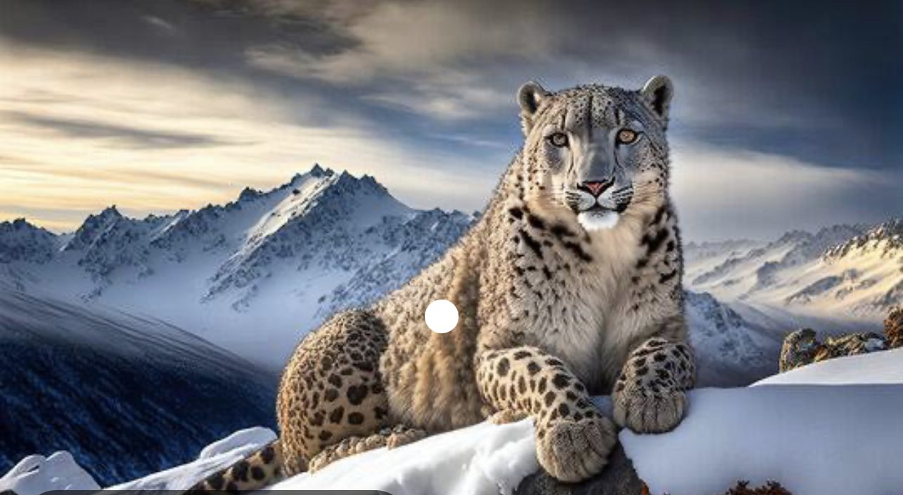 6854527A-4C77-44A9-BBCD-72D0C53ED475