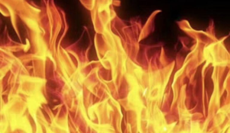 87460AE7-6240-4F99-B4C9-EAA7BF7D39FD