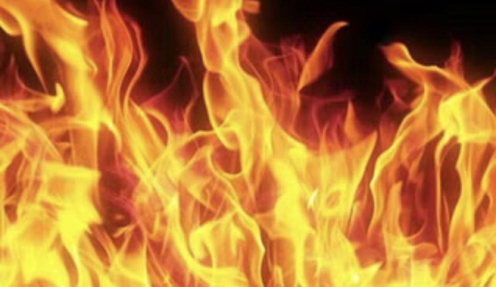 87460AE7-6240-4F99-B4C9-EAA7BF7D39FD