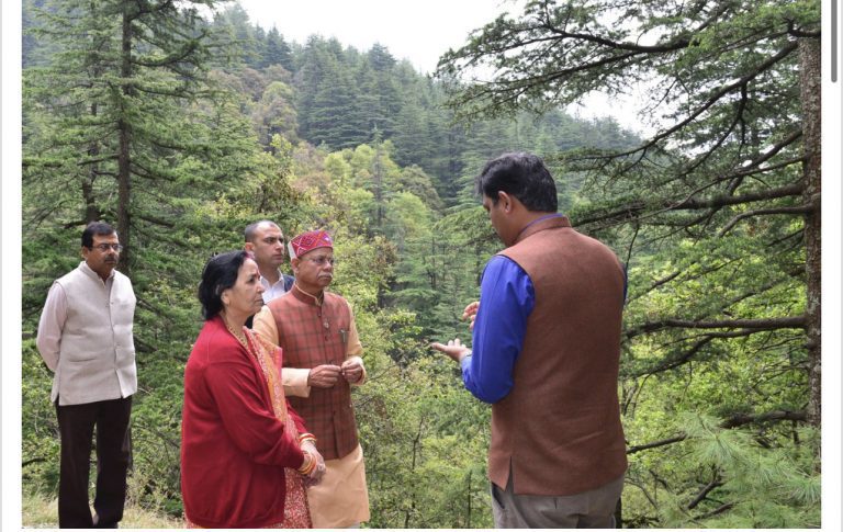 8F06DFE2-2784-4B13-BA68-F9E1AEAE7F7B