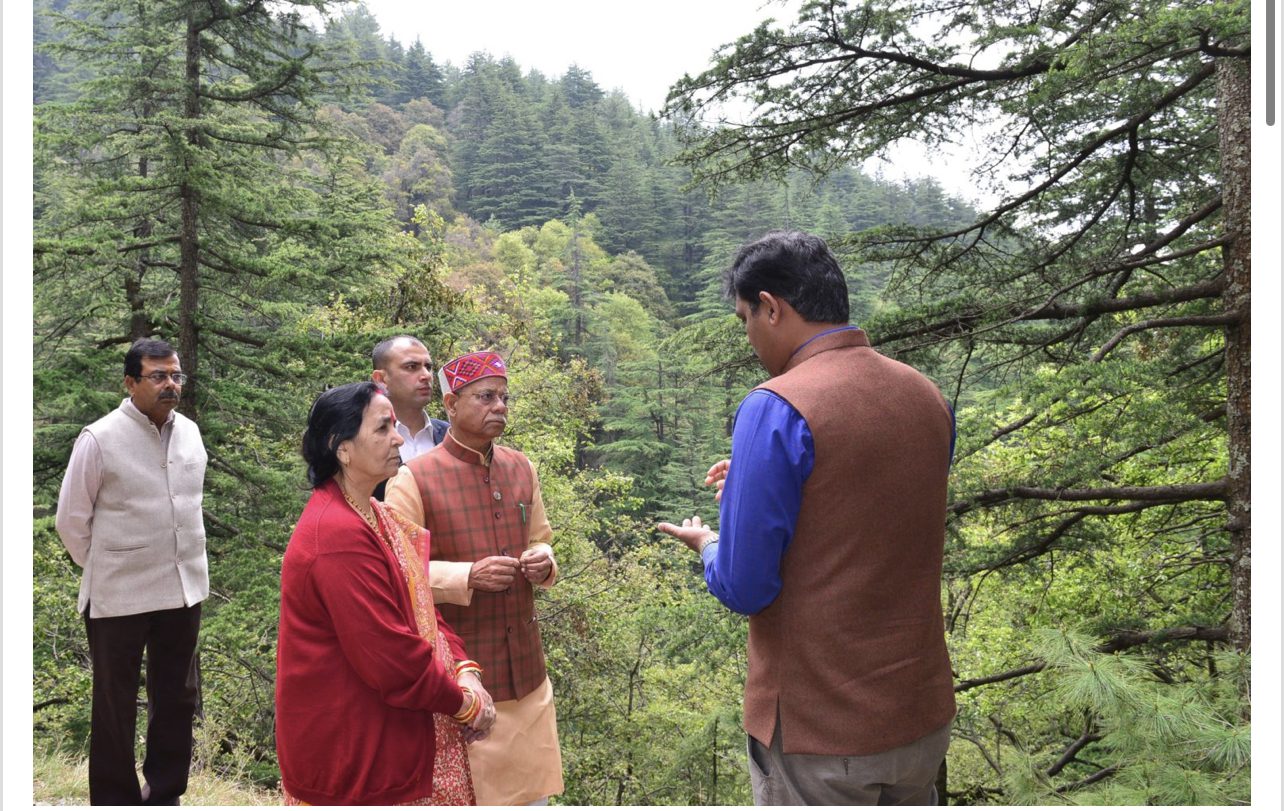 8F06DFE2-2784-4B13-BA68-F9E1AEAE7F7B