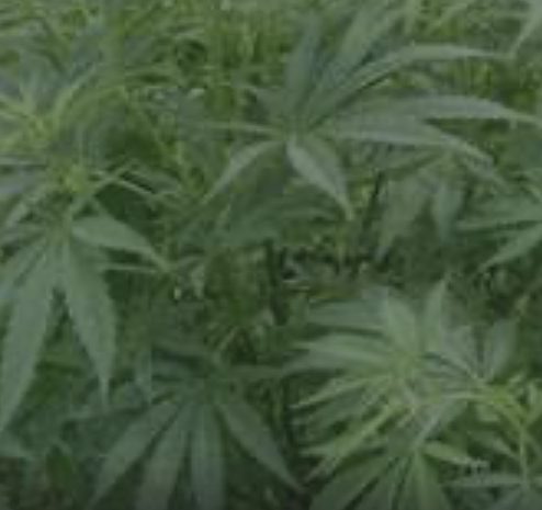 97C9367F-0342-43FA-9854-EAF297D276CF