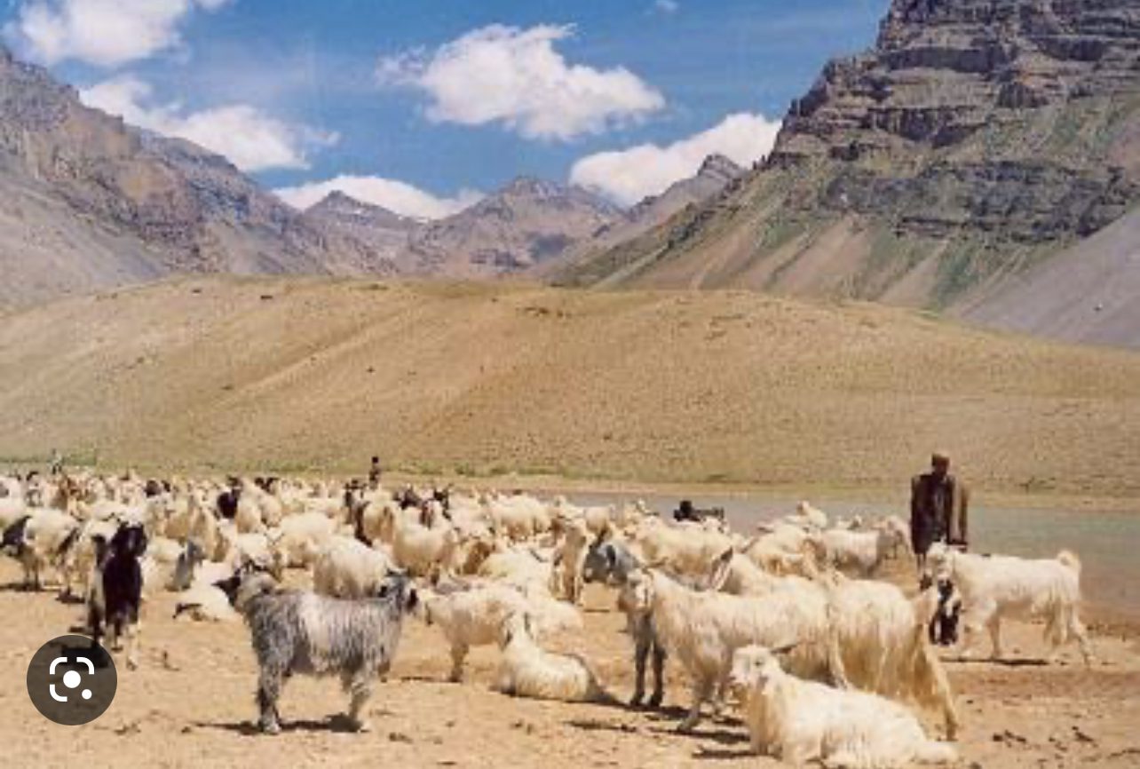 A957AE9A-F0FB-4AB3-8B55-2ABB7E9681D1