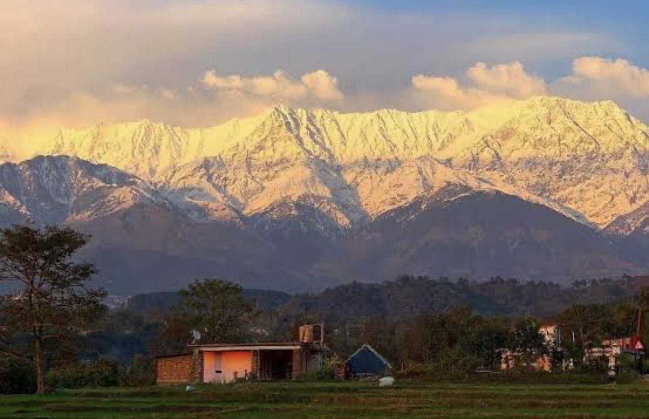 AD72E6B2-CA24-47F5-BDDE-58C6D8BDAA91