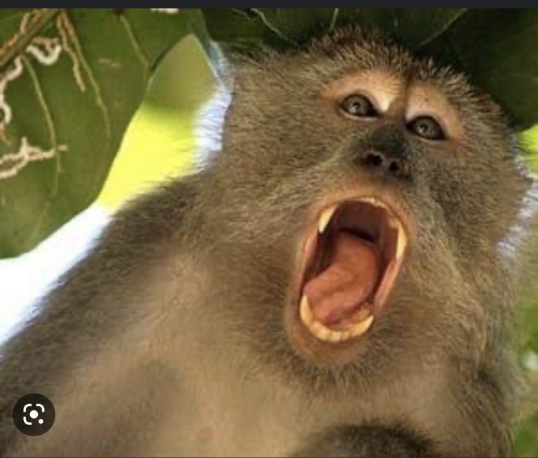 D3A82CE1-C3E1-4B74-98FE-732BF2B56B6D