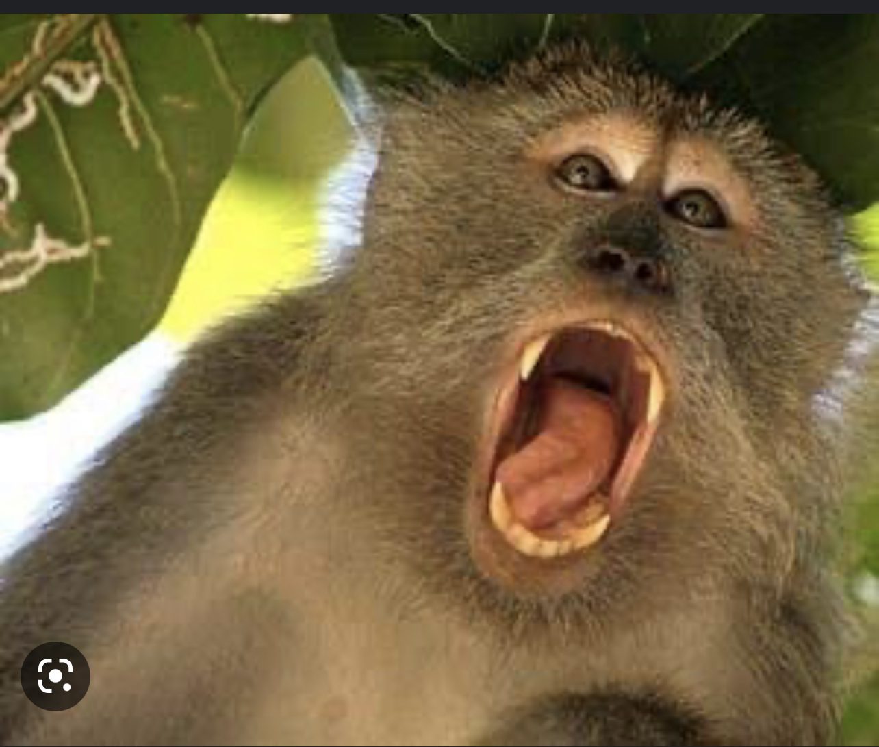 D3A82CE1-C3E1-4B74-98FE-732BF2B56B6D